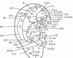 耳骨有痣|面相：耳朵有痣算命圖解，全位置對照，看看你是哪一。